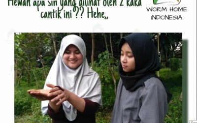 Worm Home Indonesia