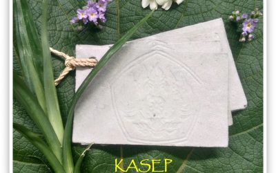 Kertas Sabun Ekologi Padjadjaran (KASEP)