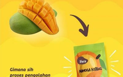 Dried Mango Rasa Mangga Segar