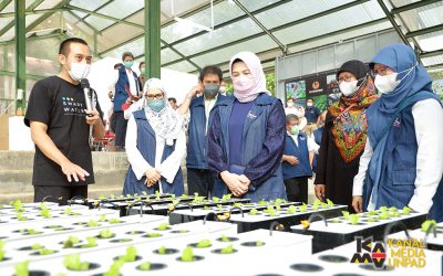 Unpad Kembangkan Kebun Hidroponik Pintar, Kolaborasi Faperta-FTIP