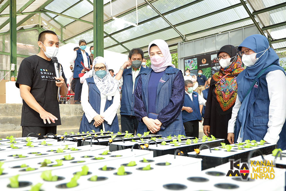 Unpad Kembangkan Kebun Hidroponik Pintar, Kolaborasi Faperta-FTIP